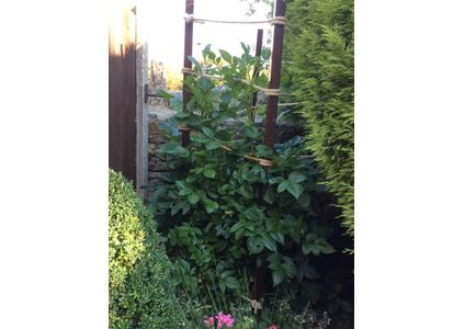 Customer image of Synthetic Hemp Garden Decking Rope