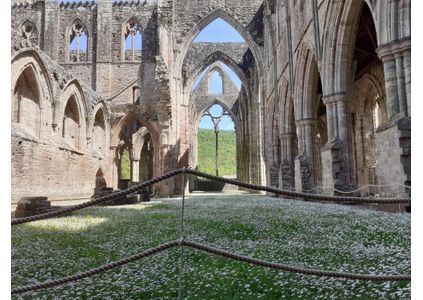 Customer image of Synthetic Hemp Garden Decking Rope