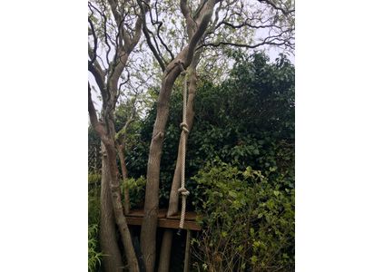 Customer image of Gym &amp; Fitness Climbing Rope with soft eye and heatshrink finish - Natural Hemp