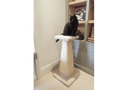 Customer image of Natural Sisal Rope For Cat Scratching Posts