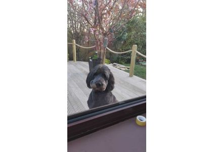 Customer image of Synthetic Hemp Garden Decking Rope