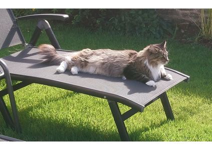 Customer image of Synthetic Hemp Garden Decking Rope