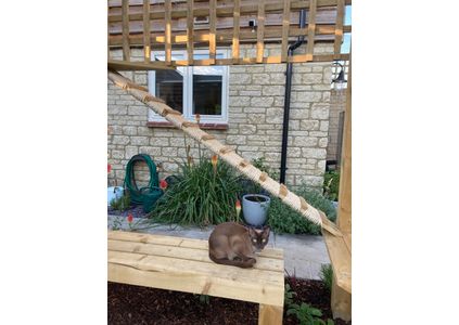 Customer image of Natural Sisal Rope For Cat Scratching Posts