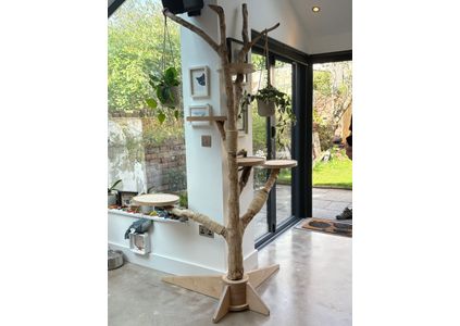 Customer image of Natural Sisal Rope For Cat Scratching Posts